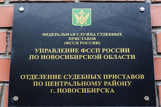 В Новосибирске приставы незаконно выставили на продажу имущество