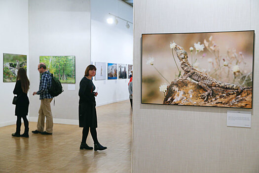 Фотоработы Дмитрия Медведева представят на выставке в Москве
