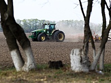 Колхоз им. Шаумяна: &laquo;Удобрения ФосАгро - резерв для роста урожайности&raquo;