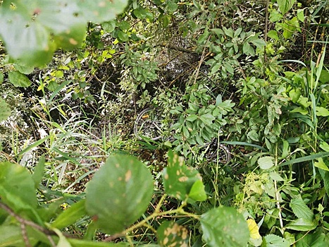 Кулебакские следователи отказали в возбуждении уголовного дела по факту гибели 16-летнего велосипедиста