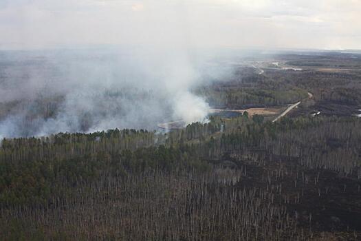 Система «Лесной дозор» будет следить за лесопожарной обстановкой Салехарда