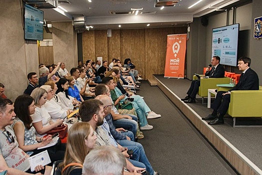 В Самарской области оказано более 75 тысяч услуг предпринимателям