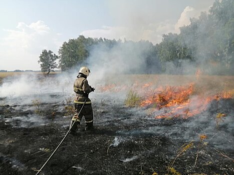 МЧС назвало главную причину природных пожаров в Новосибирской области