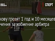 Адвокат избитого Широковым арбитра отреагировал на приговор суда
