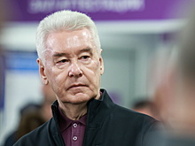 Собянин: строительство здания картинной галереи Нестеренко завершат в 2025 году