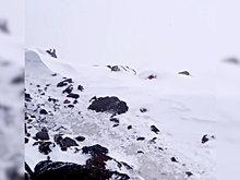 «Хороший снег идет»: видео гида, снятое перед трагическим восхождением на Эльбрус