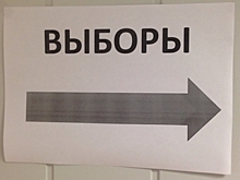 Нижегородское «Яблоко» определилось с кандидатами на выборы