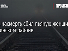Поезд насмерть сбил пьяную женщину в Гатчинском районе