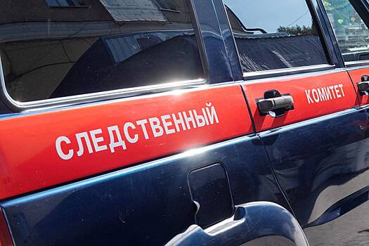 СК возбудил дело по факту обнаружения ребенка без признаков жизни в сгоревшем доме