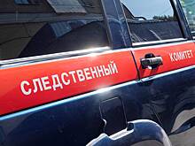 СК возбудил дело по факту обнаружения ребенка без признаков жизни в сгоревшем доме