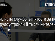 Специалисты службы занятости за пол года трудоустроили 8 тысяч жителей Ленобласти