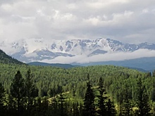 Названы регионы России, в которых введут туристический налог