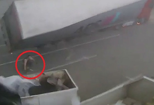 Ураганный ветер опрокинул фуру на дальнобойщика