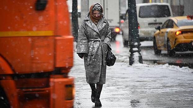 Москвичам напомнили о мерах безопасности на улице в снегопад