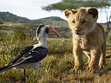 Не царское дело: как "Король Лев" пал жертвой высоких технологий