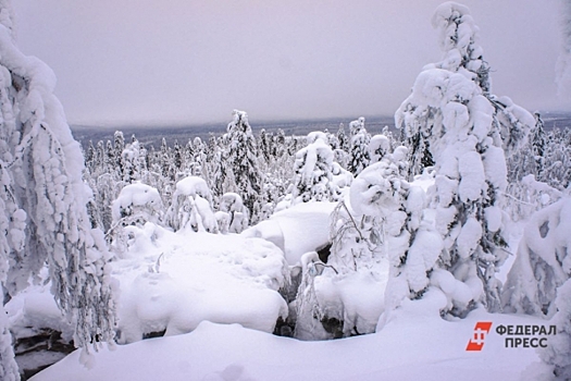 Сибиряки обсудили исчезновение туристов Усольцевых