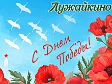 Молоко для мобилизованных и подарки ветеранам