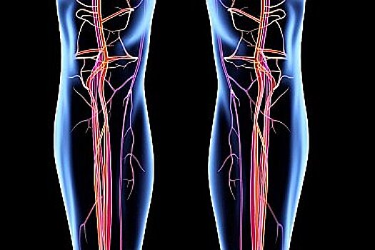 Заботьтесь о своих венах: утренние упражнения для здоровья сосудов хабаровчан
