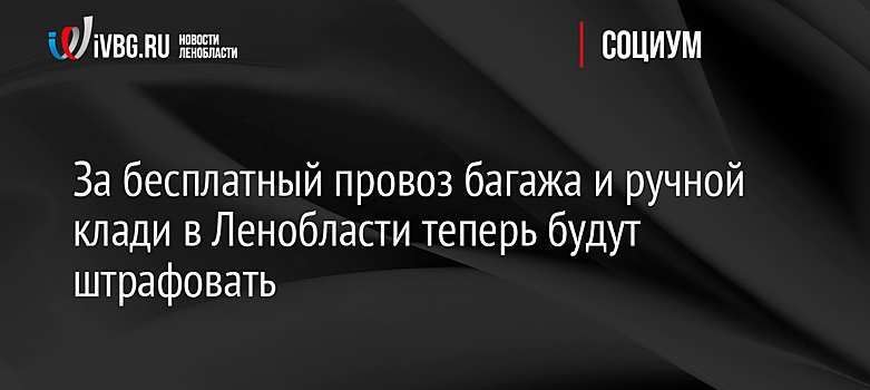 За бесплатный провоз багажа и ручной клади в Ленобласти теперь будут штрафовать