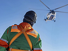 На Ямале почти вдвое сократилось количество лесных пожаров