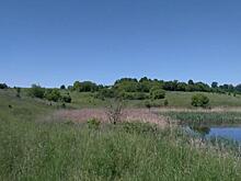 Курянин погиб после падения на автомобиле в реку