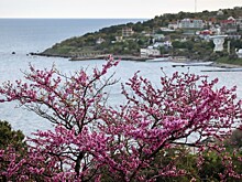 Газификация Крыма: на очереди Голубой Залив