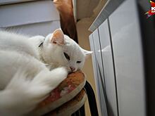 К 15 сентября ремонтные работы на теплотрассах Екатеринбурга будут завершены