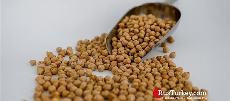 Экспорт нута из Турции в 2020 году превысил импорт в 4,6 раза