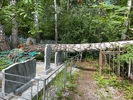 Ураган разрушил тюменское кладбище, где похоронены декабристы
