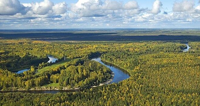 В Сибири обнаружены огромные залежи древних углеводородов