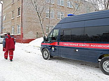 Следком выясняет причины массового отравления в школе Петербурга