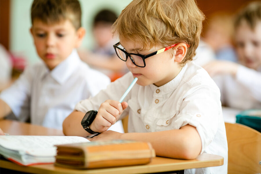 Милонов раскритиковал идею сокращения продолжительности обучения