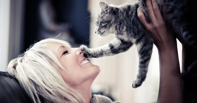 Почему кошки больше любят женщин, чем мужчин