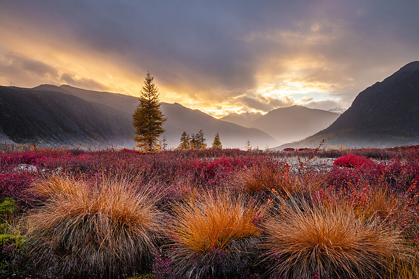 Надежда Окорокова.   Теплый вечер на Джеке