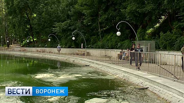 Воронежские учёные разработали установку для очистки водоёма в Центральном парке