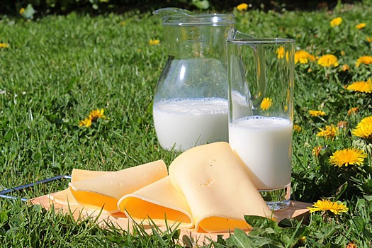 Развеян главный миф о молочных продуктах