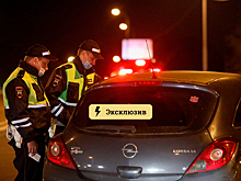 «Уже за руль садиться не хочется». В Госдуме призвали расширить ковидную амнистию