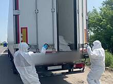 В Госдуме прокомментировали отказ Украины забирать тела бойцов ВСУ