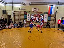 В Тольятти прошел региональный этап Всероссийского фестиваля борьбы