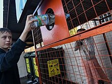 Строительство эколого-образовательного центра в Казани может начаться уже в этом году