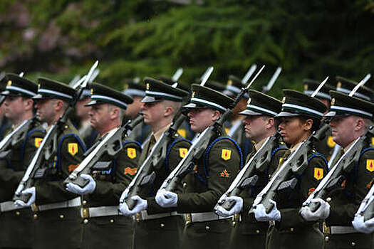 Irish Times: ирландские депутаты раскритиковали планы обучения военных ВСУ
