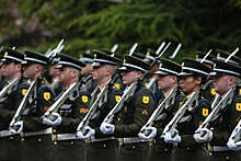 Irish Times: ирландские депутаты раскритиковали планы обучения военных ВСУ