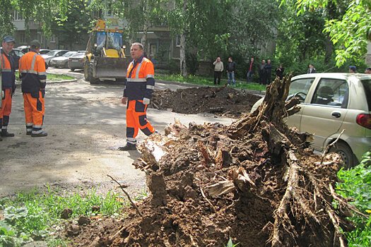 В Екатеринбурге выкорчевали заасфальтированный пень