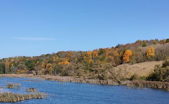 В Курской области суд обязал снести незаконные постройки возле пруда