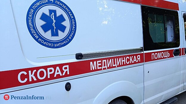 В Пензенской области устанавливают обстоятельства гибели двух пешеходов