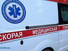 В Пензенской области устанавливают обстоятельства гибели двух пешеходов