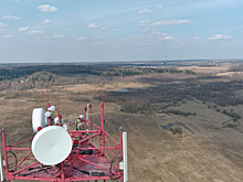 В Подмосковье, несмотря на жаркую погоду, втрое сократилось количество лесных пожаров