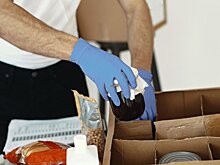 Внесен законопроект о поддержке работодателями добровольческой деятельности сотрудников