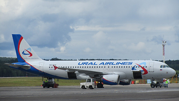 Пассажирке «Уральских авиалиний» пришлось выбросить свой чемодан в аэропорту