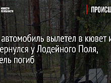 Фото: автомобиль вылетел в кювет и перевернулся у Лодейного Поля, водитель погиб
